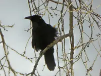 walk 013016 6.webp
