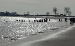 20160206_121754swimming.webp