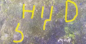 Spring Rock Carving Bottom Carvings (Highlighted).webp