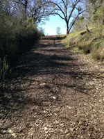 Path.webp