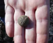 DSCN1849.webp
