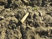 clay pipe 1.webp