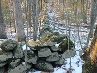 P1030023.webp