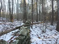 P1030020.webp