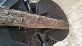 20160220_141158.webp