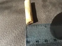clay pipe 4.webp