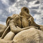 elephant sand sculpture.jpg