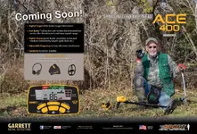 new ace 400.webp