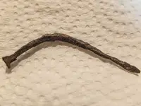 DSCF1142.webp