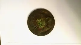2015-12-30 19.54.01.webp