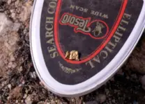 TesoroGold 003.webp