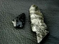 DSCN3572.webp