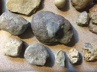 ImageUploadedByTreasureNet.com1454919994.565890.webp