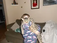 kitties 008.webp