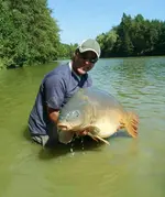 carp.webp