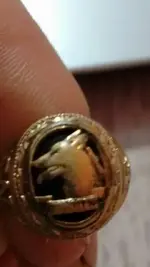 ring4.webp