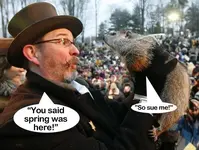 punxsutawney-phil.webp
