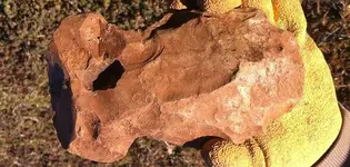 axe head.webp