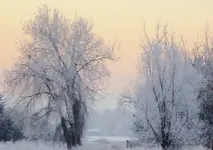 frost.webp