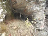 DSCN1054.webp