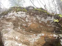 DSCN1055.webp