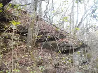 DSCN1050.webp