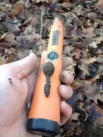 ImageUploadedByTreasureNet.com1452615987.356111.webp