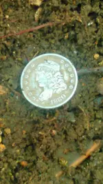 KIMG0008.webp KIMG0008.webp