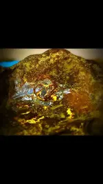 ImageUploadedByTreasureNet.com1455551114.670488.webp