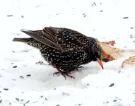 DSCN9855.webp