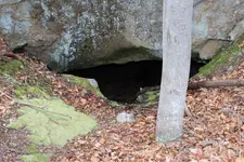 ImageUploadedByTreasureNet.com1453406346.907943.webp