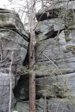 ImageUploadedByTreasureNet.com1453406447.204951.webp