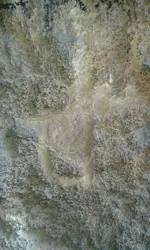 20140101_170133.webp