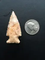 ImageUploadedByTreasureNet.com1451579917.969358.webp
