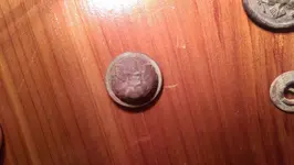 IMAG1621.webp