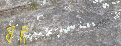 BR Lichen.webp