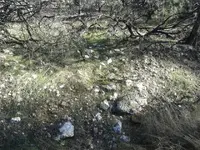 1454215565470.webp