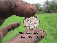 5 Silver Dimes 007.webp