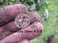 5 Silver Dimes 012.webp