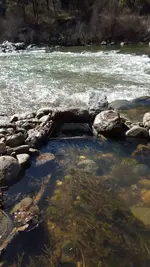 1456194974629.webp