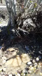 1456194983539.webp