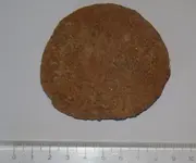 Fig9.webp