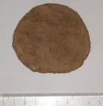 Fig10.webp