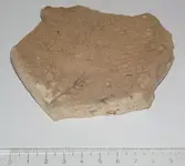 Fig12.webp