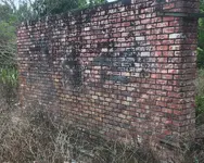 Bricks.webp