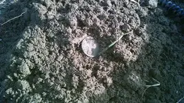 4.Dirt Shot.webp 4.Dirt Shot.webp