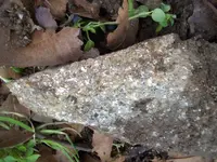 100_1723.webp