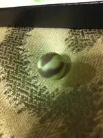 ImageUploadedByTreasureNet.com1453425015.744417.webp