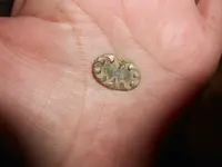 little button 002.webp