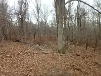 P1120022.webp